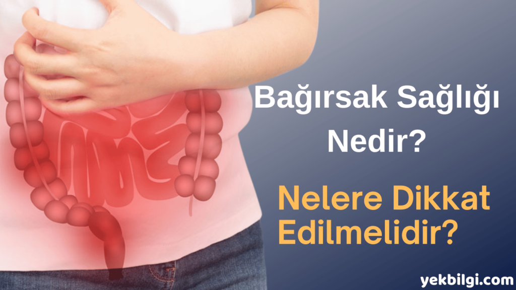 Bağırsak Sağlığı Nedir, Nelere Dikkat Edilmelidir? 